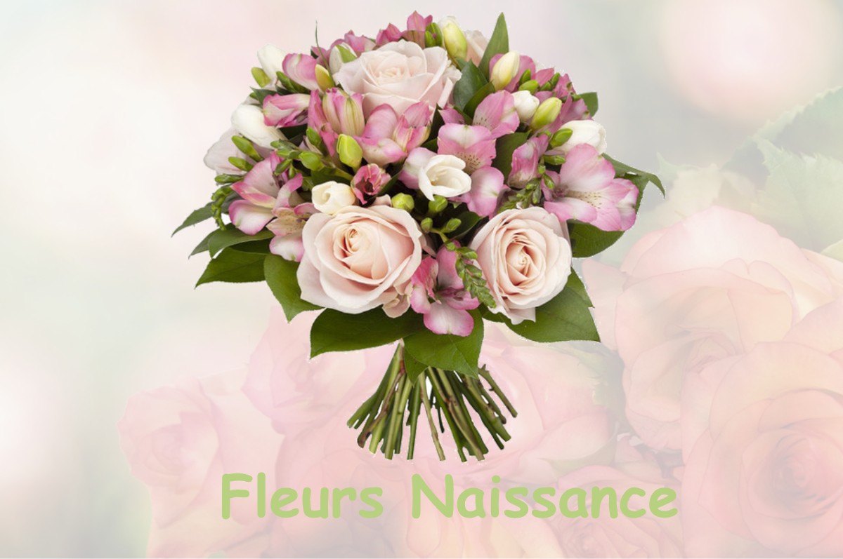 fleurs naissance ANGLARDS-DE-SAINT-FLOUR